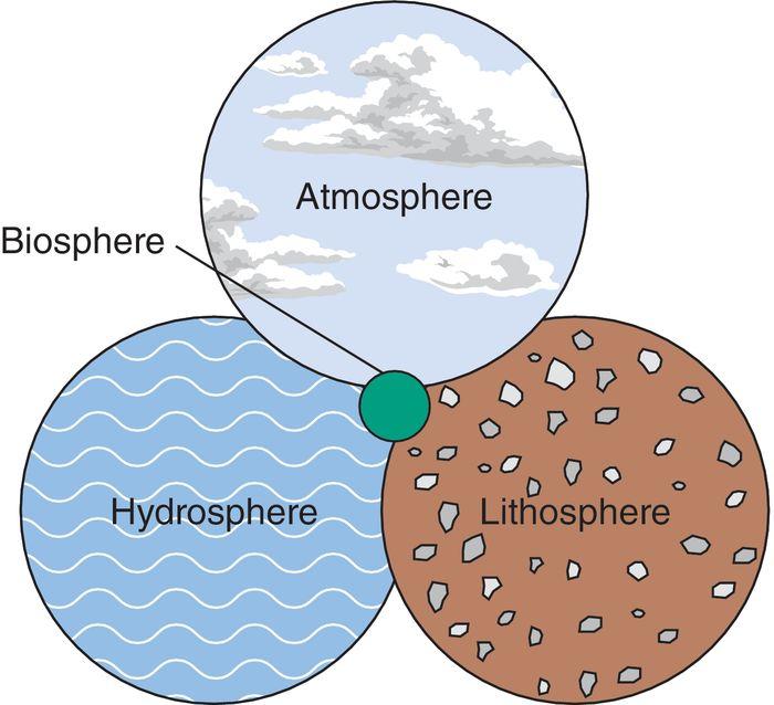 Ecology Biosphere contains earth s communities, ecosystems and landscapes, and includes: Atmospheregaseous