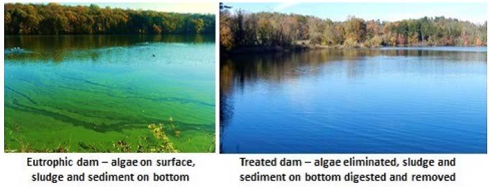 Types of non-point source pollution Nutrients: Eutrophication Too many nutrients are bad because they feed algae Then the algae dies and breakdown and sucks the