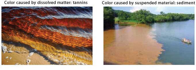 Color Suspended and dissolved particles in water influence color.