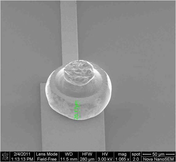 Figure 1. An SEM image of a gold stud bump before (left) and after (right) coining. Coining is performed by compressing the studs under a flat piece of silicon using 140 g/stud.