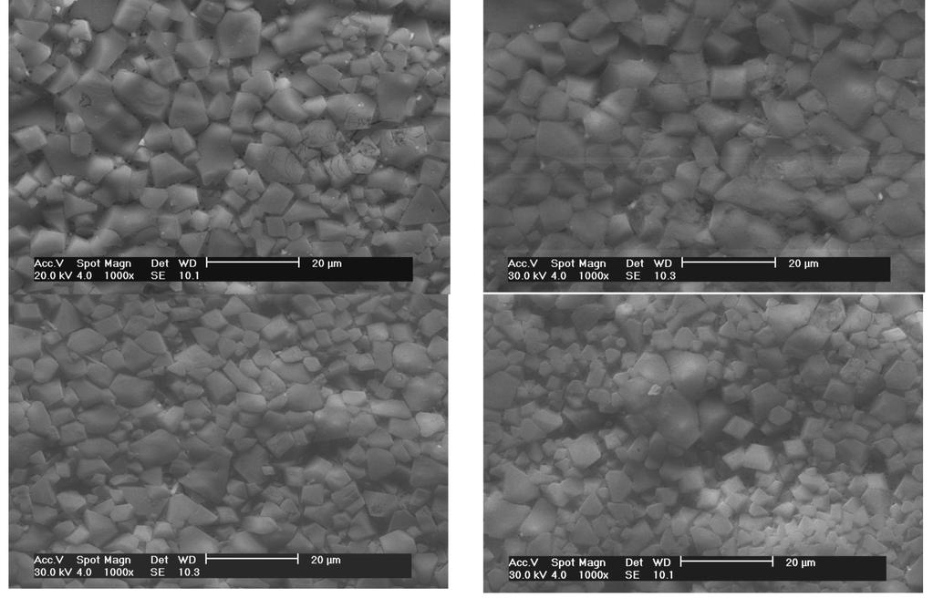 CASTELLÓN (SPAIN) Figure 3. Micrographs of the surface of the glass-ceramics (SEM, 5 vol% HF, 60s): 1h, 35MPa, 1185 C; 1h, 45MPa, 1185 C; 2h, 35MPa, 1175 C; 2h, 45MPa, 1175 C.