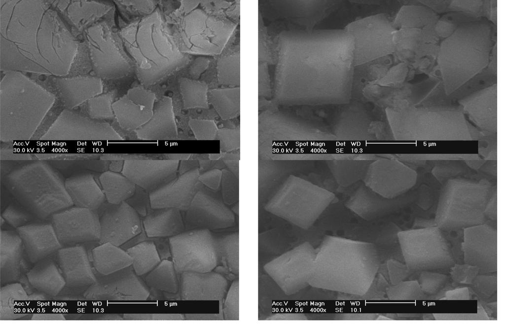 CASTELLÓN (SPAIN) Figure 4. Micrographs of the surface of the glass-ceramics (SEM, 5 vol% HF, 60s): 1h, 45MPa, 1185 C; 1h, 35MPa, 1185 C; 2h, 45MPa, 1175 C; 2h, 35MPa, 1175 C.
