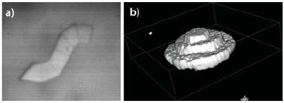 photolithography. (b) Associated human dermal fibroblast surface adhesion demonstrating that unpatterned regions remain bioinert.