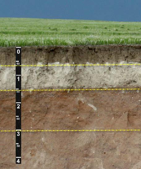 SITE SUITABILITY The owner must be aware of the depth of any impermeable soil layers, high groundwater levels, and slope when considering the septic system location.