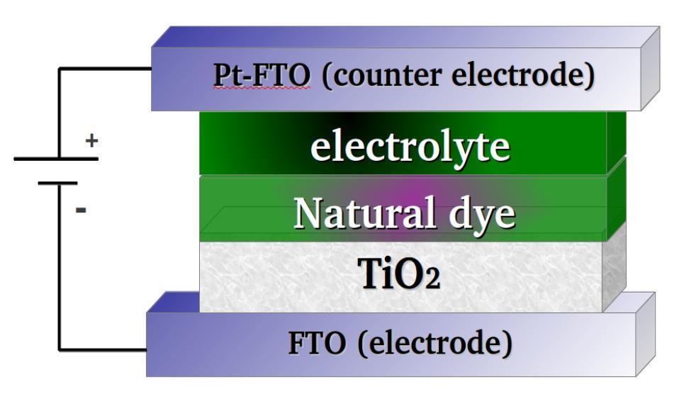 Figure 2. Dye sensitized solar cell composed by a FTO/TiO 2 /natural-dye/electrolyte/pt-fto multilayer system. Figure 3.