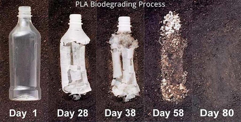 Biodegradable Resin After 80 Days According to ASTM