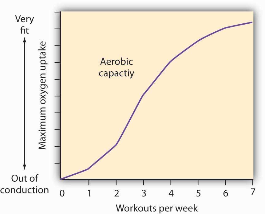 Case in Point: The Production of Fitness Figure 8.11 How much should an athlete train?