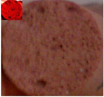 Fig. 12 General image shows the surface of pottery disc (porosity 10 %). Fig.
