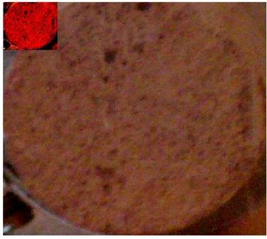 14 General image shows the surface of pottery disc (porosity 31 %).