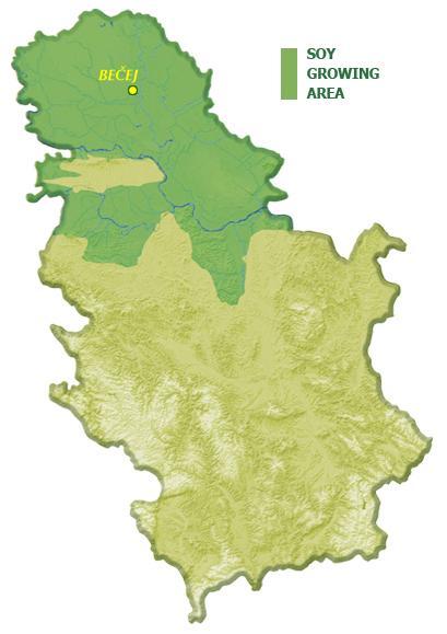 SOY PRODUCTION IN SERBIA 80 % of the soy production area is situated in Vojvodina Area cultivated in Serbia (annual average): 145.000 155.
