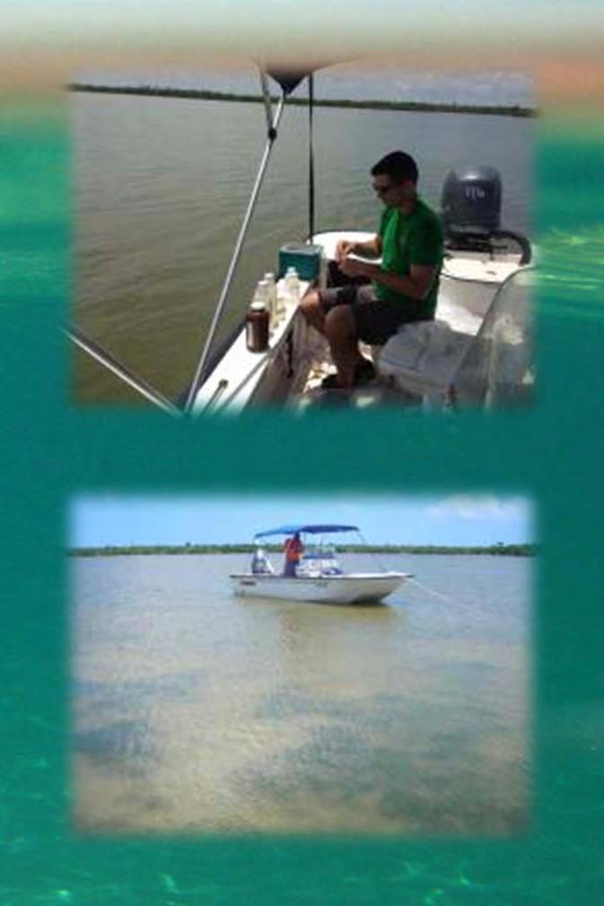 Water Quality Monitoring Collecting since 1988 90 Locations,