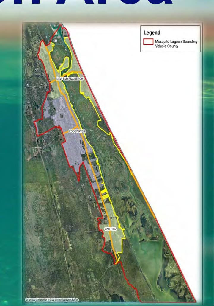 Mosquito Lagoon Area Land Area in Acres: County 10,022 (includes ROW in Cities) New Smyrna Beach 4,485