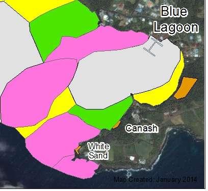 Blue Lagoon/White Sand = Grade D **Critical Reef Ecosystem** Reef, Seagrass & Mangrove Only site on mainland Large amount of Elkhorn Coral (endangered coral) Possibly