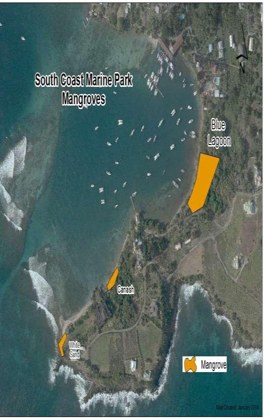 Overview of Mangroves in St. Vincent All mangroves on mainland surveyed Brighton mangrove 1.60 acres /White Trend: Stable Blue lagoon Mangrove* 1.
