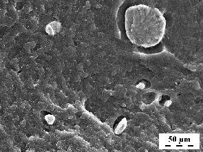 by SEM. Results showed on existence of coarse aluminosilicate clusters, often larger than 10 µm, which could act like stress concentrators. This fact was proved at both tested materials, Figs.