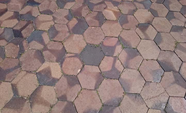 Capital Improvement Program Project: Village Hall Courtyard Paver Brick Replacement Category: Building Improvement Fund - All Facilities $ 55.00 $ $ 56.00 5.