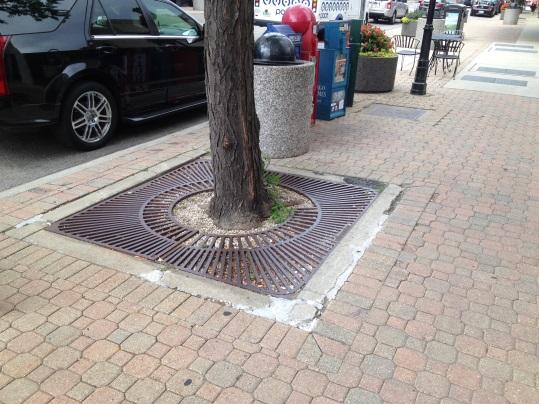 Capital Improvement Fund Project Sheet Project: Paver Brick and Tree Pit/In-Ground Planter Maintenance Category: CI Fund - Streetscaping Work consists of replacing