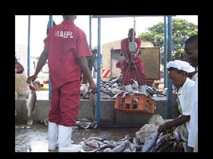 (Short) History of Governance Lake Victoria Fisheries