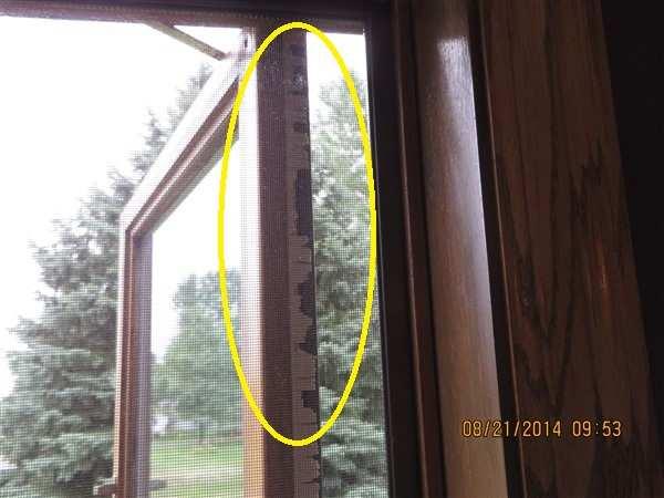 M/SI - Repair 13 LOCATION: Exterior Throughout SYSTEM: Exterior Window units have damaged weatherstripping Weatherstripping is observed to be damaged or
