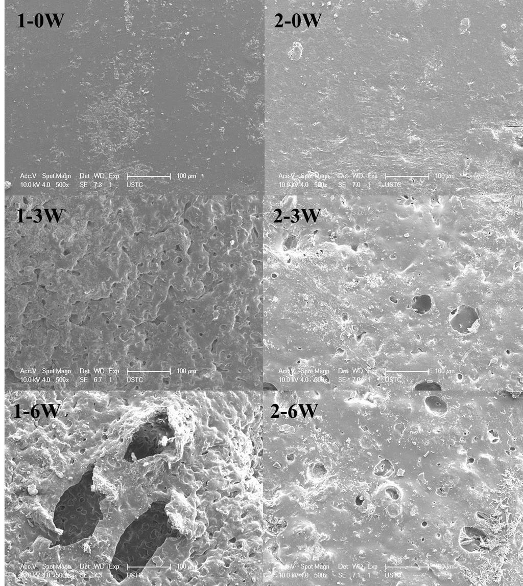 Fig. S11 SEM images of the surface for EVA-1 and EVA-2 tested for 0, 3, 6 weeks. 1. S. Nie, Y.