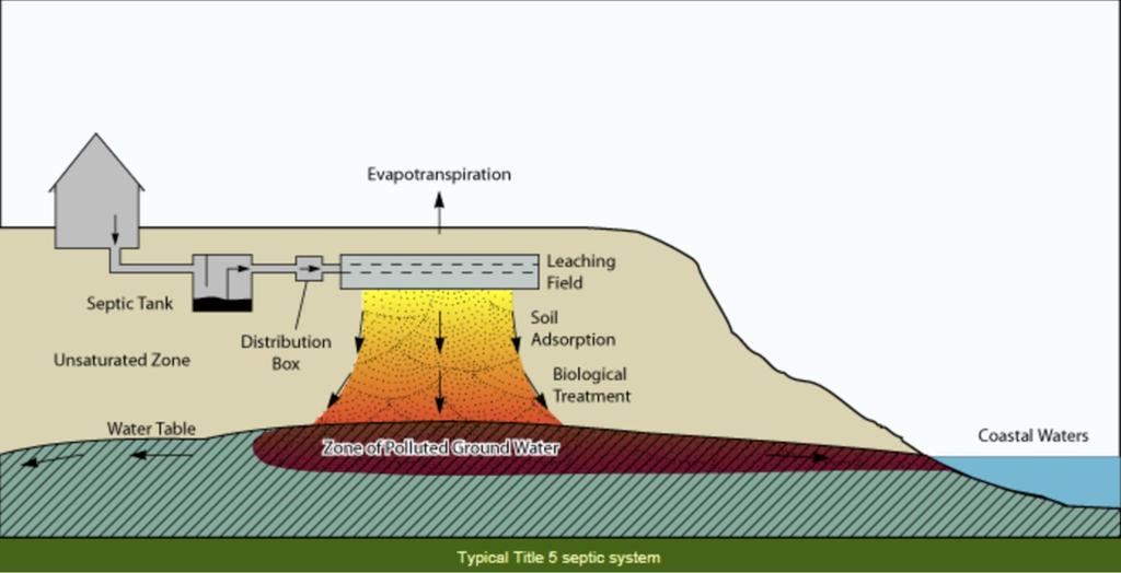 Groundwater and surface water contamination from septic tanks Vertical separation between the bottom of leaching field and groundwater decreases resulting