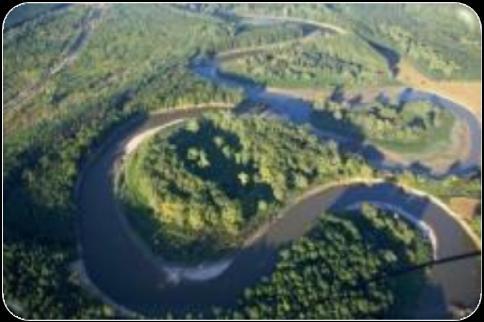 intercept pollution, reduce erosion Benefits: slow river water, intercept pollution, reduce