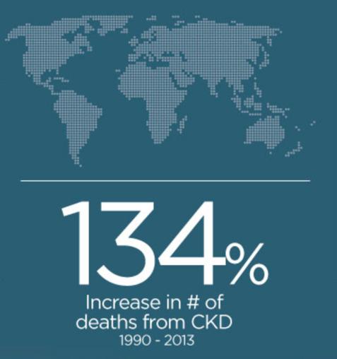 Chronic kidney disease (CKD) - market opportunity CKD is a global health problem affecting over 10% of the population with 26 million patients in the US alone Growing in incidence due to large number