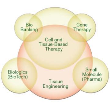 Regenerative Medicine at an inflexion point Rapidly evolving interdisciplinary field: Potentially transforming healthcare Translating new scientific breakthroughs into a variety of innovative medical