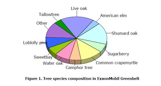 20 Species Diversity at The Greenbelt Estimated 1,680 trees An