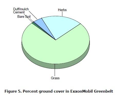 21 Tree/Groundcover With trees covering roughly 40% of the green space at the Greenbelt, what is the other 60%?