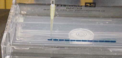 This series of three photos show the process of loading a sample into a gel well: Place the pipette tip into the buffer and above the gel well.