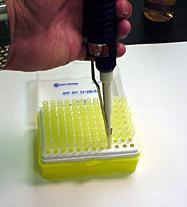 DO NOT jam the barrel into the pipet tips repeatedly!!! Use fresh tip for every sample of a different composition. 2.