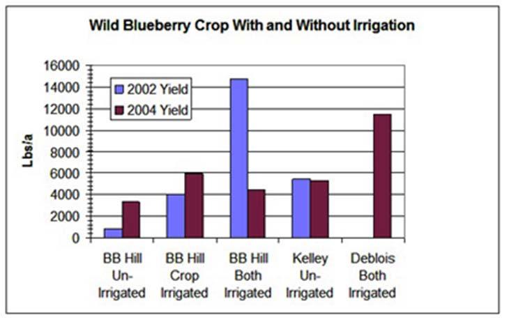 Be sure to scout your fields in June to determine if you need additional treatments to maintain weed control and yields.
