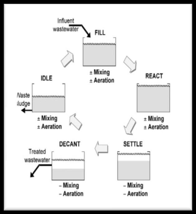 Fig: The operation of an SBBGR is based on a fill-and-draw principle, which consists of fivesteps-fill reacts, settle, decant, and idle.