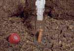 VOA vials - 40- or 60-mL VOA vials with PTFEfaced septa and crimp seal caps or screw-top