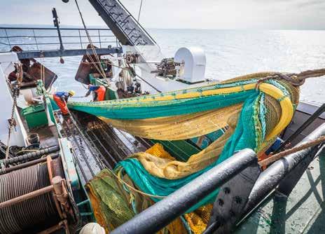 Some of these themes have now become integrated in the daily operations of the business, enabling us to focus more specifically in the coming years on sustainable fishing and employee