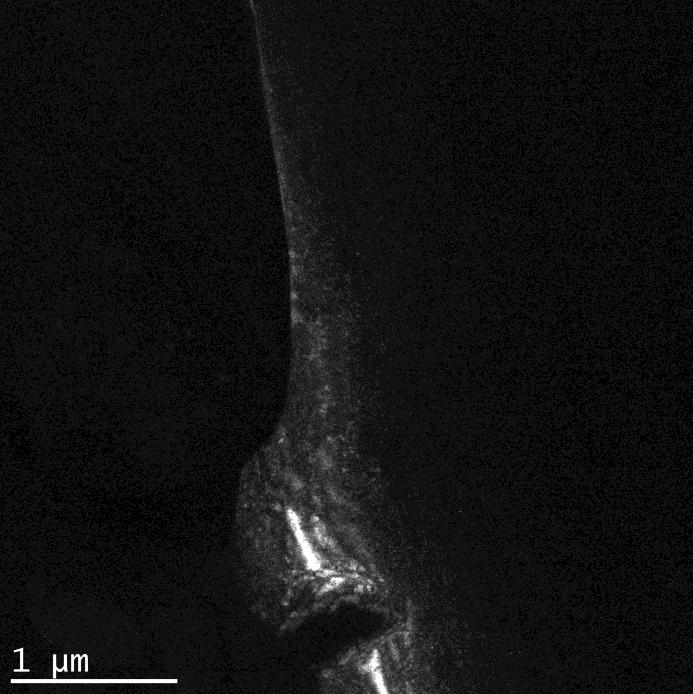 8266 9 10 511 --- --- 11 440 --- --- 12 531 --- --- Fig -2: Dark Field image of Aluminium Foil The powder sample, Anatase TiO2, was analyzed and some of the results for HRTEM were obtained.