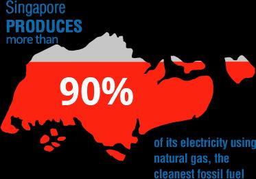 Singapore s Energy Landscape Natural gas is the dominant fuel source for power generation in