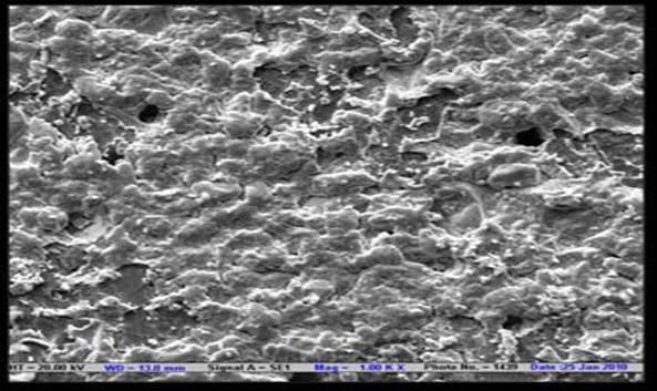 SEM micrograph of IS 2 film It shows voids with roughness on the surface.