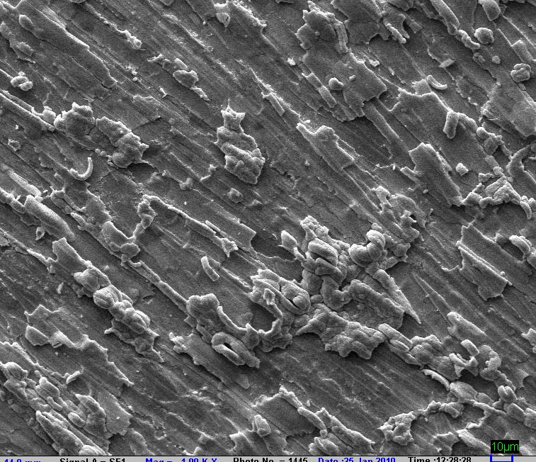 SEM micrograph of ISZ 4 film A continuous, voidless surface was observed.