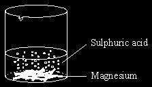 Excess magnesium was added to dilute sulphuric acid. During this reaction fizzing was observed due to the production of a gas.