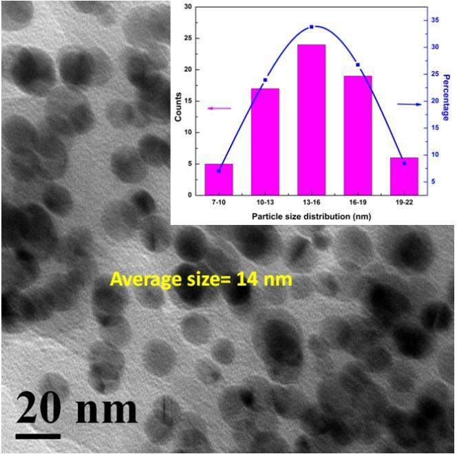 Characterization of as procured Y 2 O 3 powder Isoelectric point Size