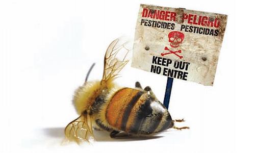 Pesticides and Pollinators How do Pesticides Work? Interfere with the metabolism (how an insect uses energy from food) or behavior (how insects reproduce) of pests.