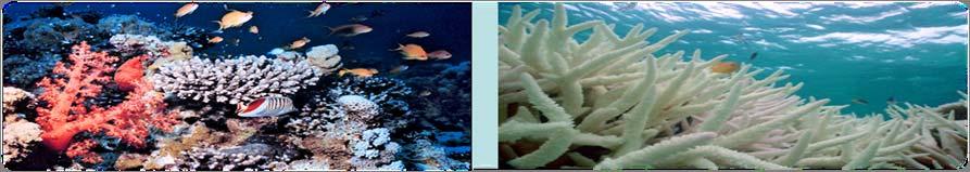 Greatest Climate Change Impacts on SIDS Reefs 1.