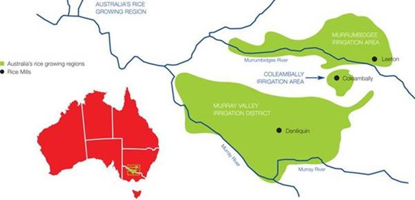 1. INTRODUCTION The Ricegrowers Association of Australia (RGA) welcomes the opportunity to submit to the Department of Primary Industries NSW Murray and Lower Darling Water Resource Plan (Surface