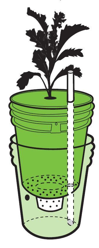 Double Buckets as A Sub-Irrigation Method https://en.wikipedia.