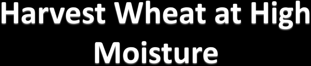 Harvest wheat at 15-18 % moisture and dry Reasons: Waiting for wheat to dry down in the field results in lower test weight and