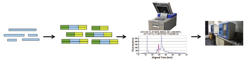 Total RNA Adapter ligation and reverse LabChip XT Sequencing transcription, enrichment, size fractionation and purification A B C D Figure 1.