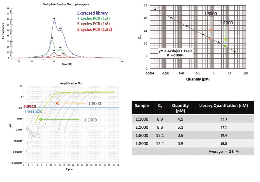 To further confirm purity of the fractionated small RNA library, it was amplified using end-point PCR, and product was analyzed by the HT DNA High Sensitivity Assay (Figure 3A).