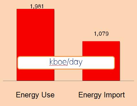 Fuel Type Total Energy Use Nearly 2 million barrels (oil equivalent) per day Energy import accounting for 54% of energy use Energy